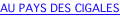 shapeimage_2_link_4